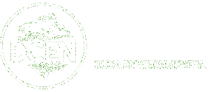 Logo Dcen